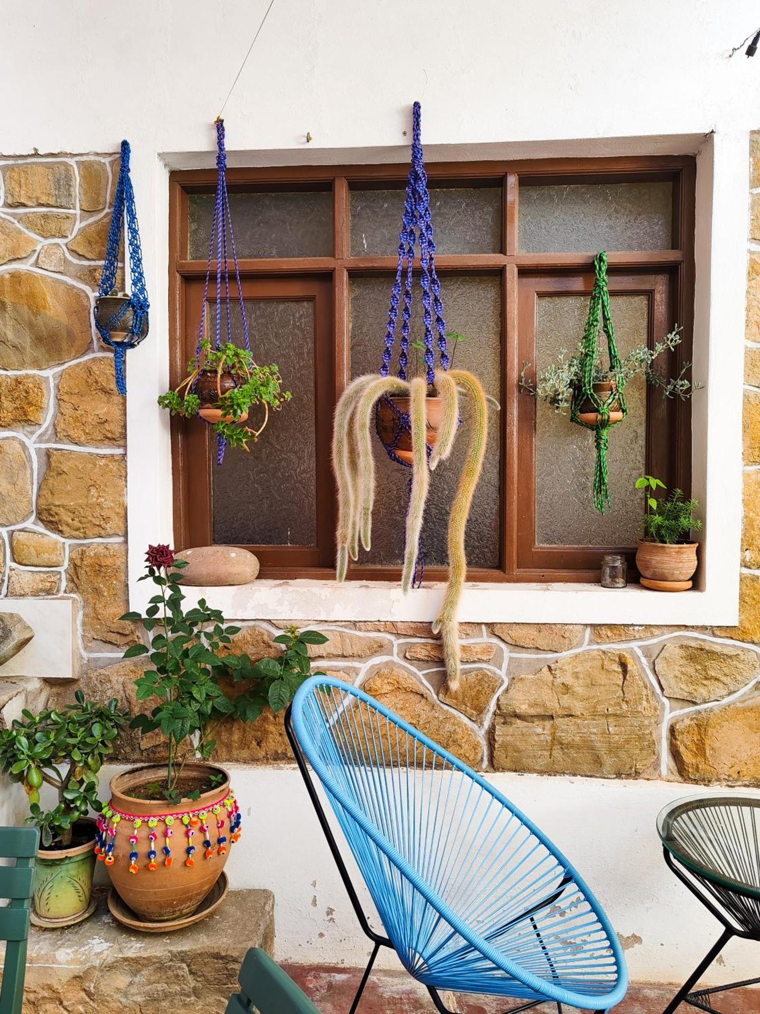 Hostal Margaritas - Torotoro מראה חיצוני תמונה